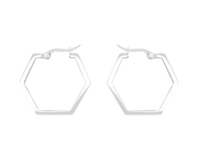 Simplicity Hexagon Earrings Silver