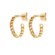 Joy Rosy Earrings 18k Gold Plated